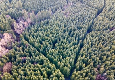 DJI 0670 HDR01