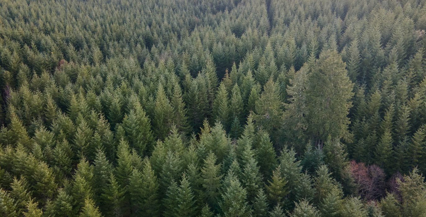 DJI 0692 HDR01