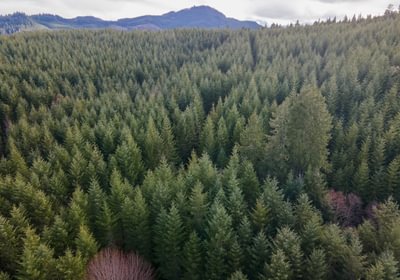 DJI 0692 HDR01
