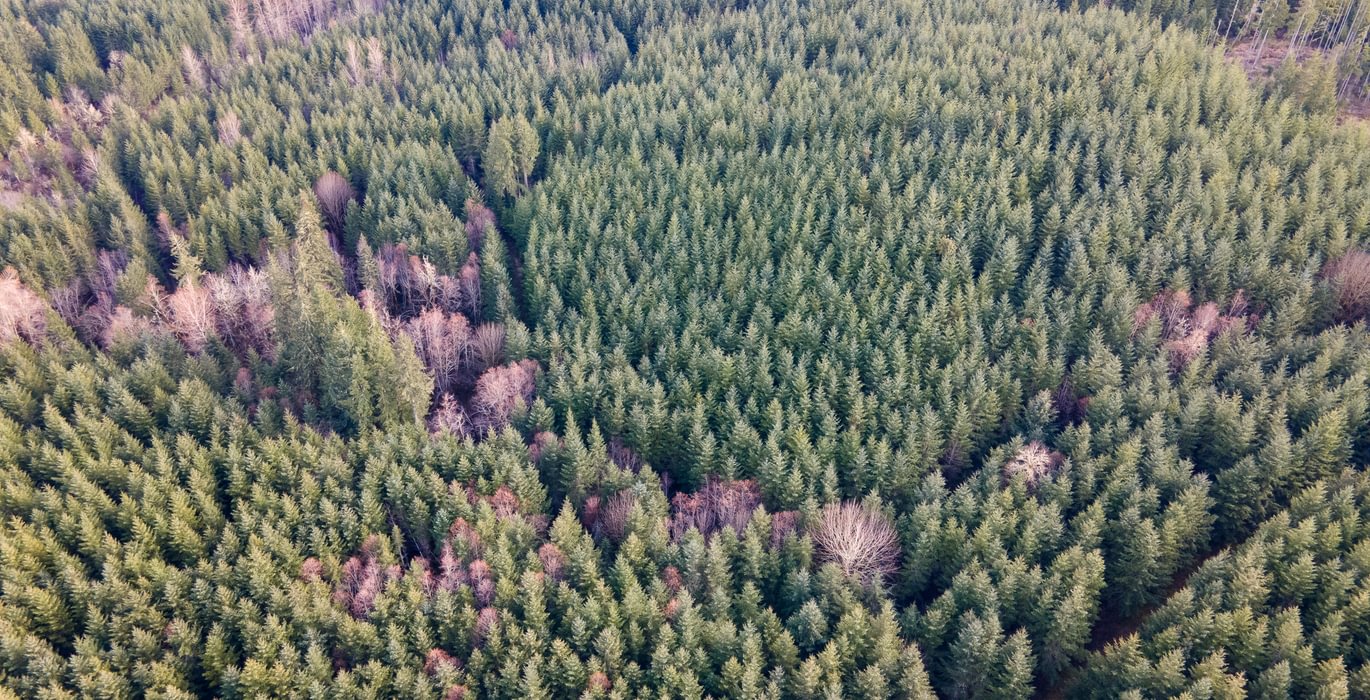 DJI 0700 HDR01