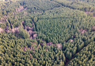 DJI 0700 HDR01