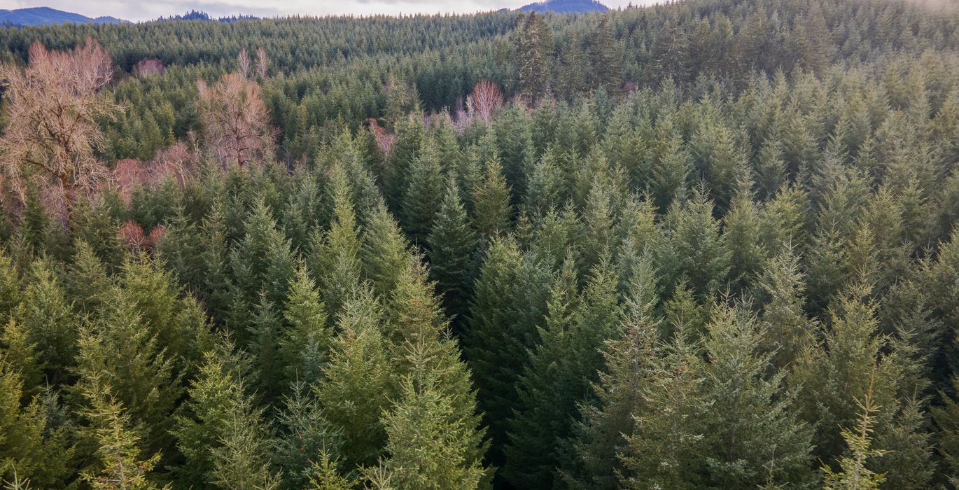 DJI 0707 HDR01