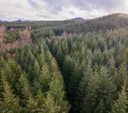 DJI 0707 HDR01