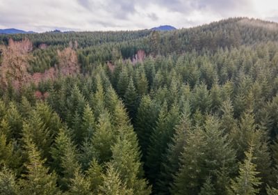 DJI 0707 HDR01