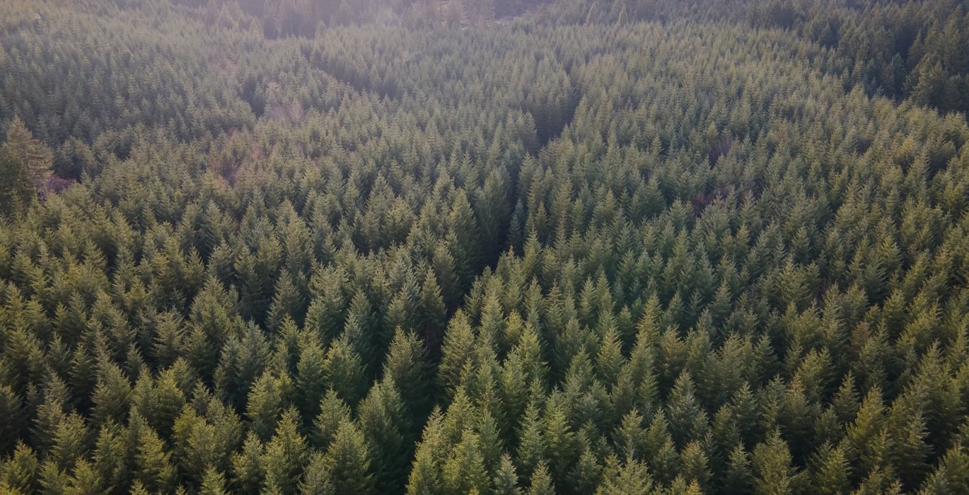 DJI 0712 HDR01