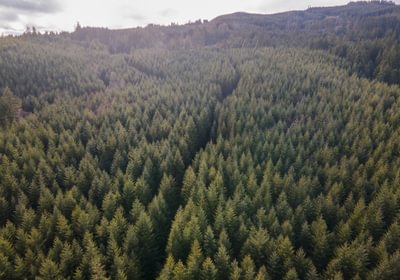 DJI 0712 HDR01