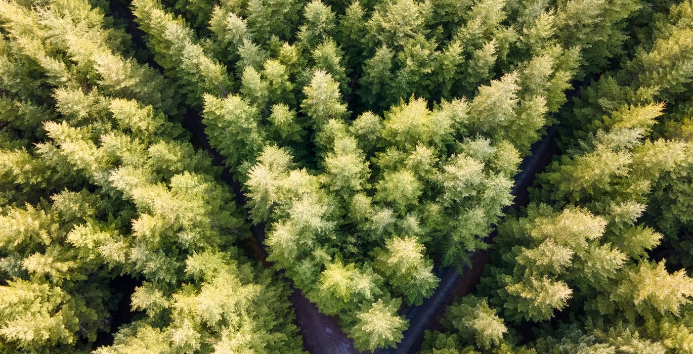 DJI 0718 HDR01