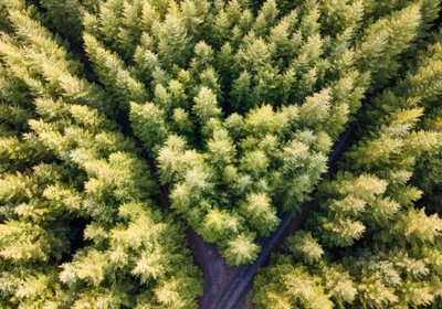 DJI 0718 HDR01
