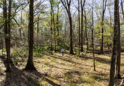 DJI 20260113103614 0062 D 1 smaller