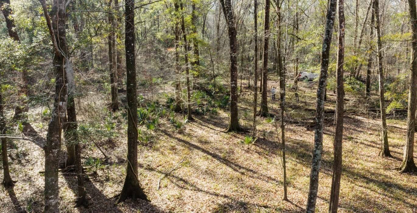 DJI 20260113103628 0066 D 1smaller