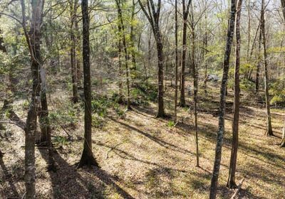 DJI 20260113103628 0066 D 1smaller