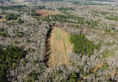 DJI 20260113104617 0077 D 1