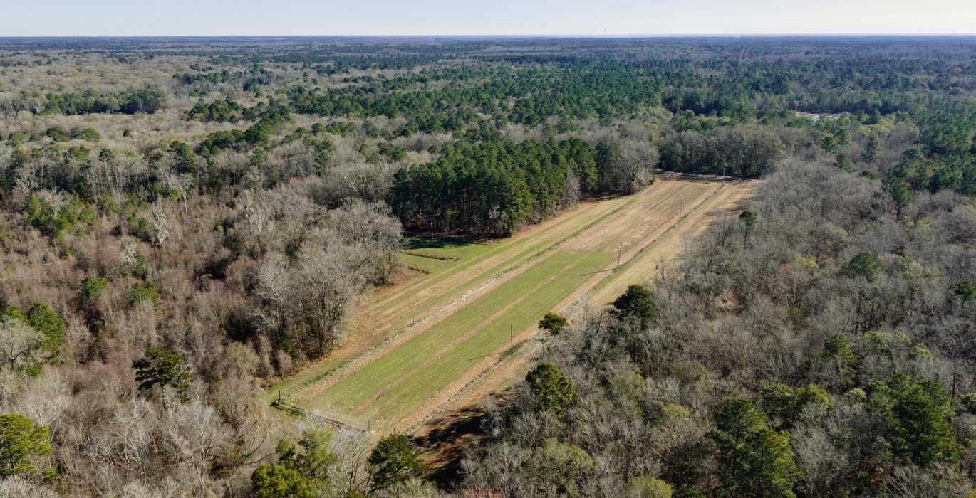 DJI 20260113104755 0082 D 1