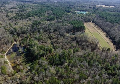 DJI 20260113104915 0085 D 1