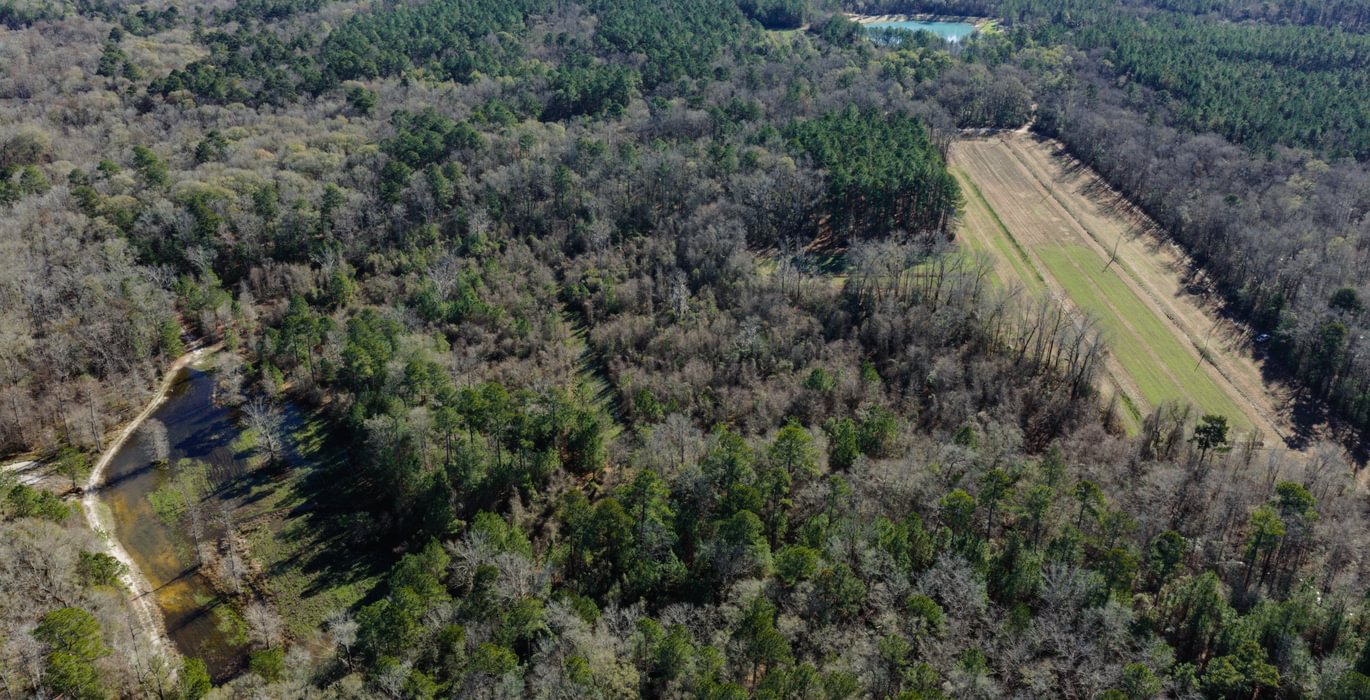 DJI 20260113104915 0085 D 1