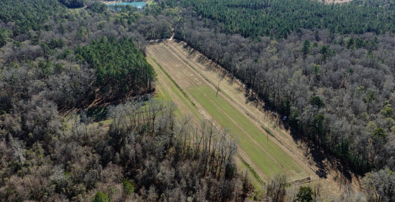 DJI 20260113104941 0087 D 1