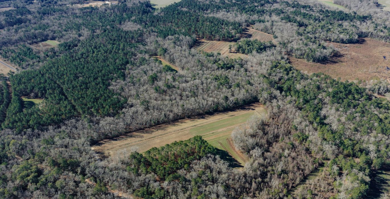 DJI 20260113105436 0091 D 1