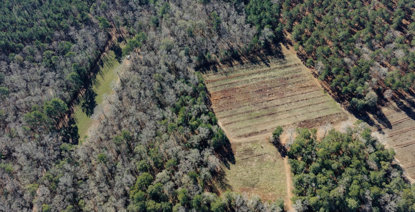 DJI 20260113105534 0094 D 1