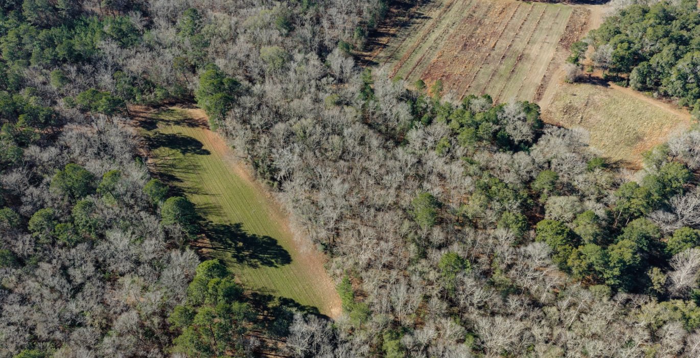 DJI 20260113105559 0095 D 1