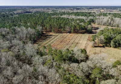 DJI 20260113105832 0099 D 1