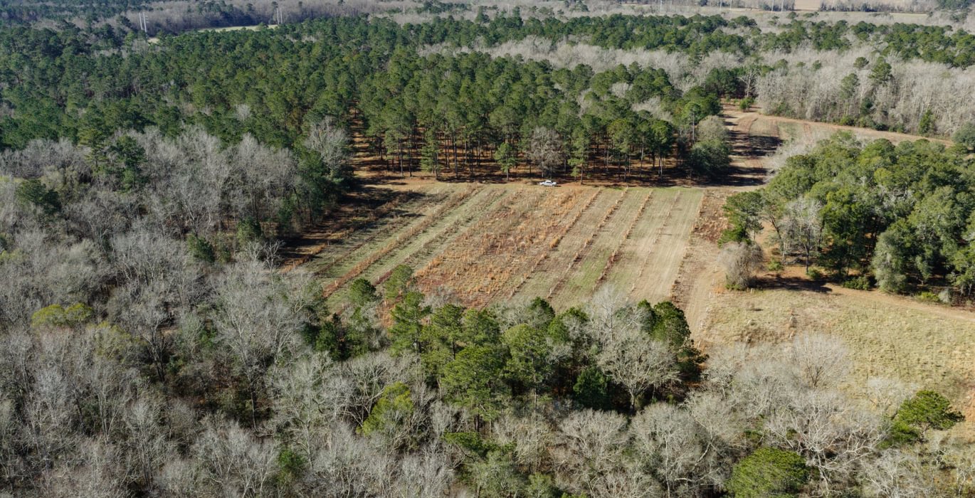 DJI 20260113105832 0099 D 1