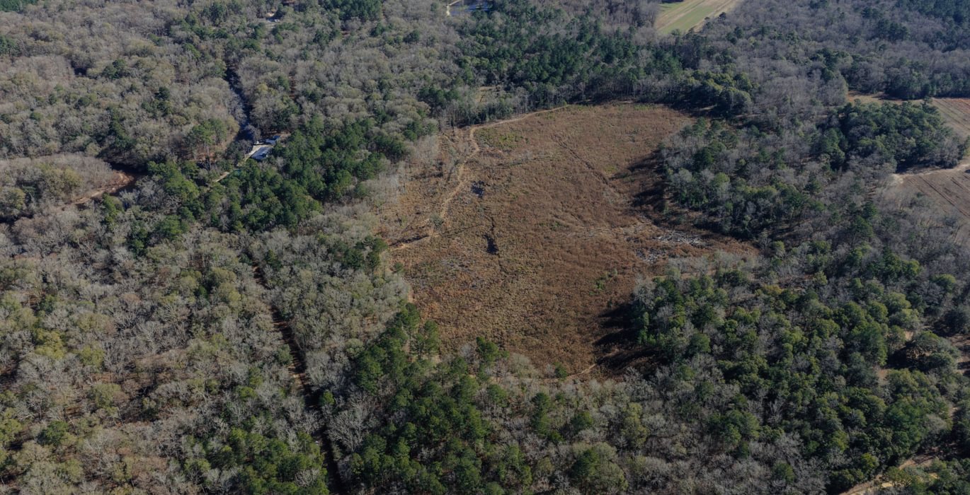 DJI 20260113110520 0108 D 1