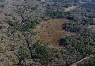 DJI 20260113110520 0108 D 1