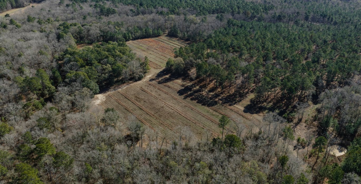 DJI 20260113110315 0105 D 1