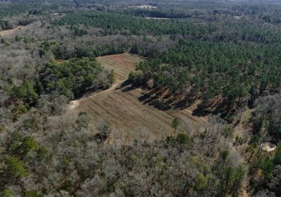 DJI 20260113110315 0105 D 1