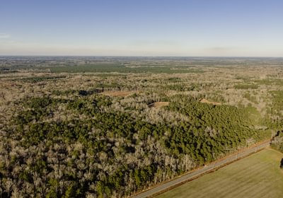 DJI 20260113161523 0140 D 1