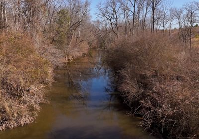 East Fork Pinkston Photo 10