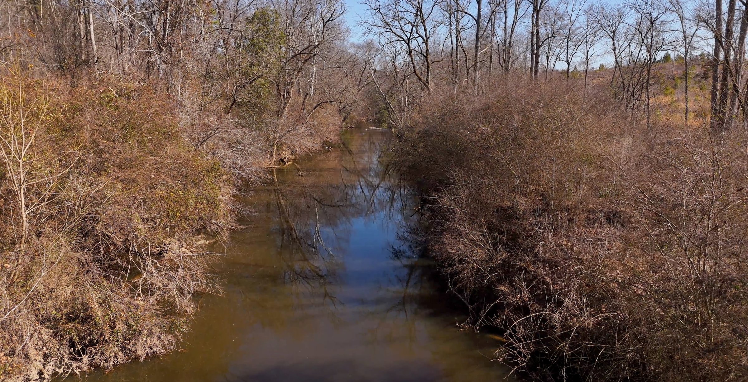 East Fork Pinkston Photo 10