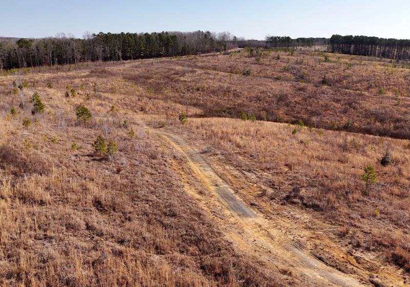 East Fork Pinkston Photo 11