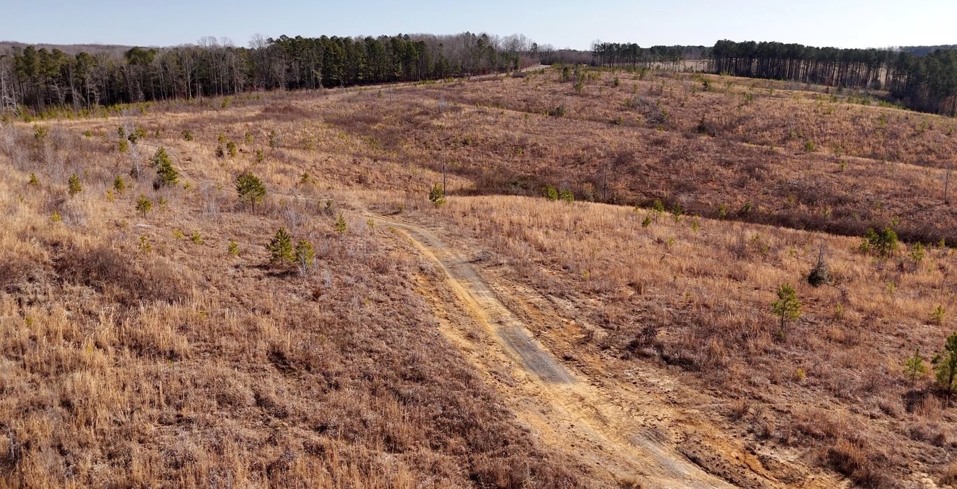 East Fork Pinkston Photo 11