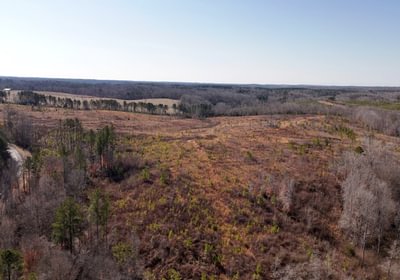 East Fork Pinkston Photo 12