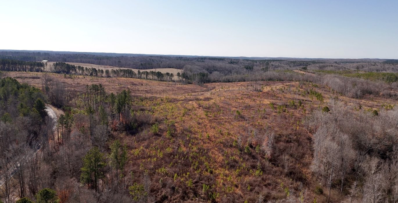 East Fork Pinkston Photo 12