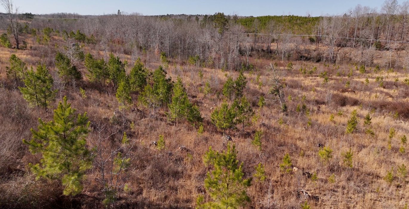 East Fork Pinkston Photo 13