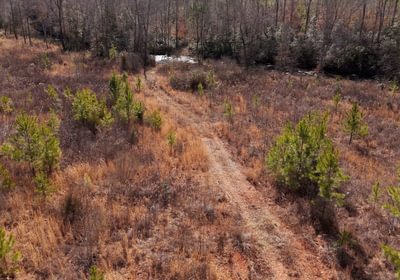East Fork Pinkston Photo 14