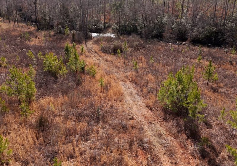 East Fork Pinkston Photo 14