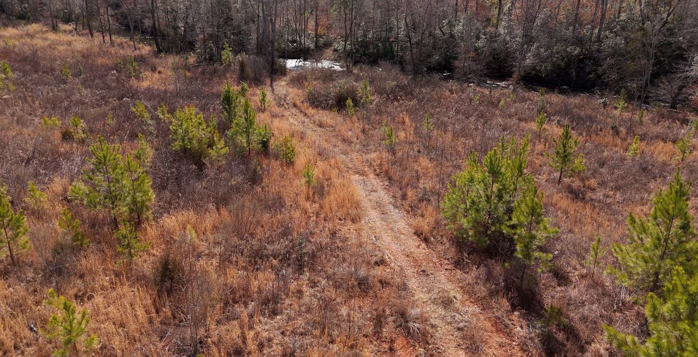 East Fork Pinkston Photo 14