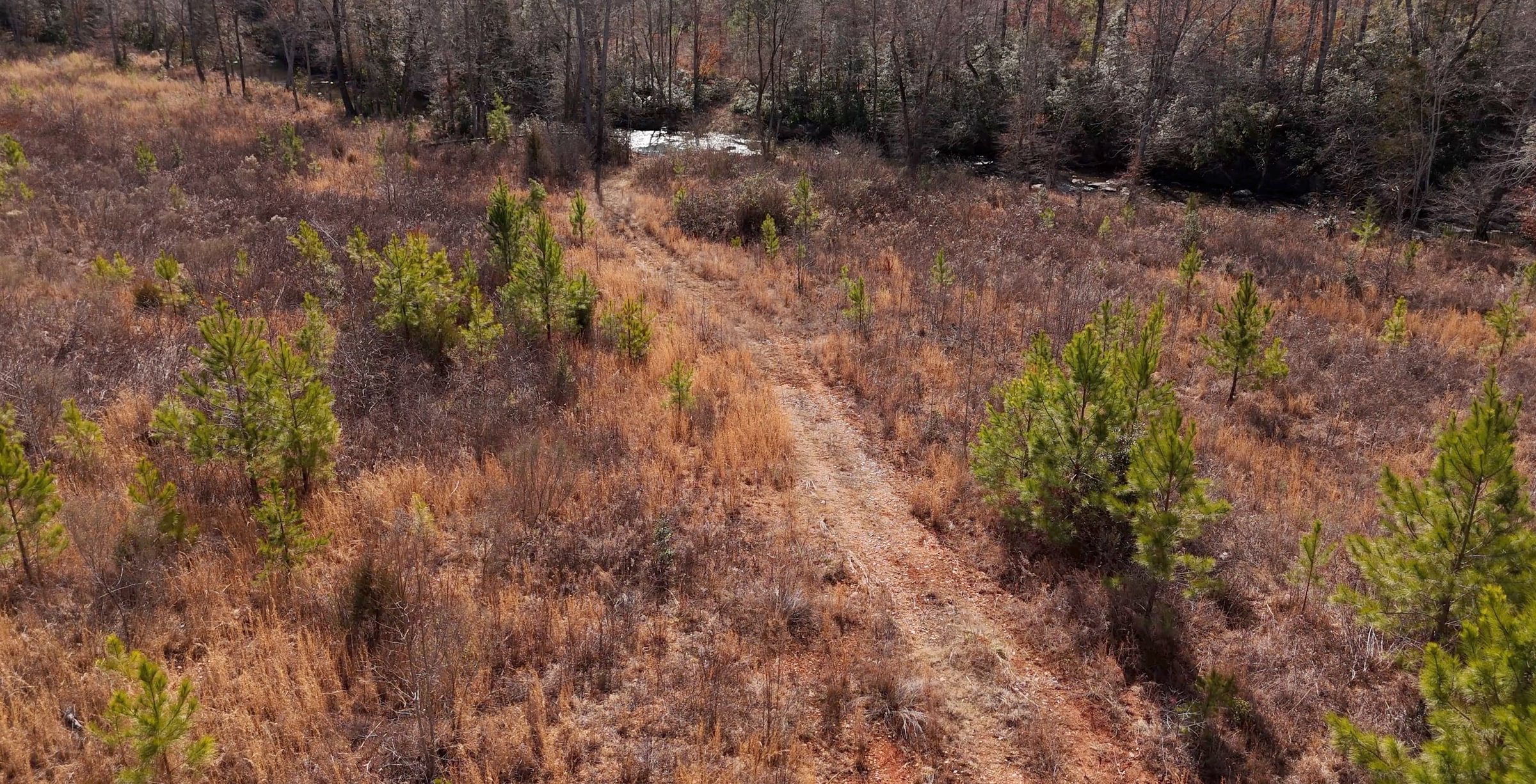 East Fork Pinkston Photo 14