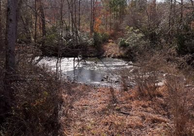 East Fork Pinkston Photo 15