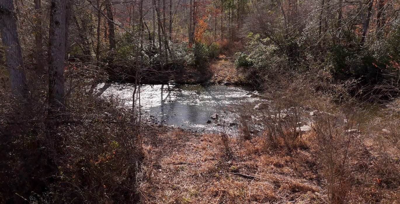 East Fork Pinkston Photo 15