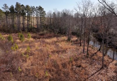 East Fork Pinkston Photo 16