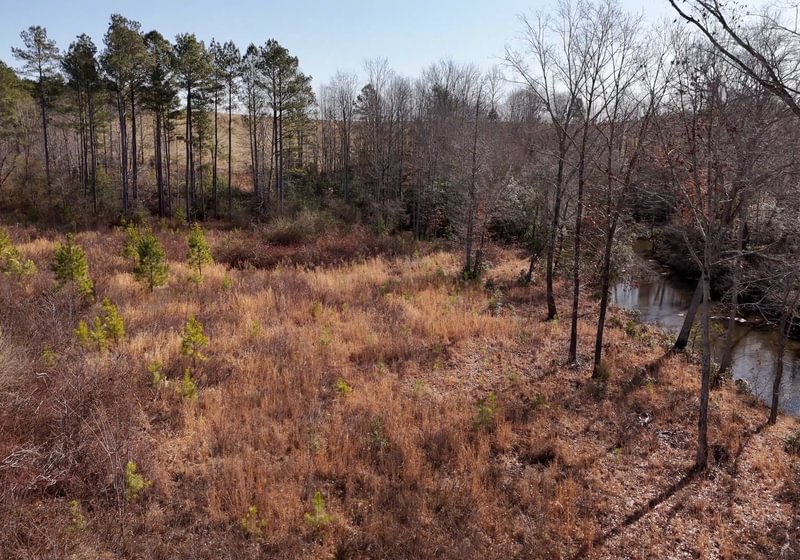 East Fork Pinkston Photo 16