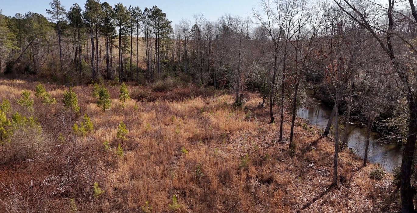 East Fork Pinkston Photo 16