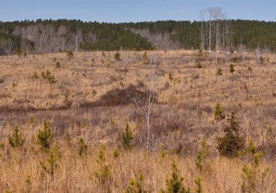 East Fork Pinkston Photo 17