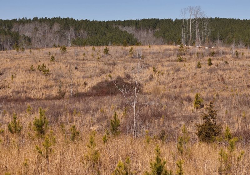 East Fork Pinkston Photo 17