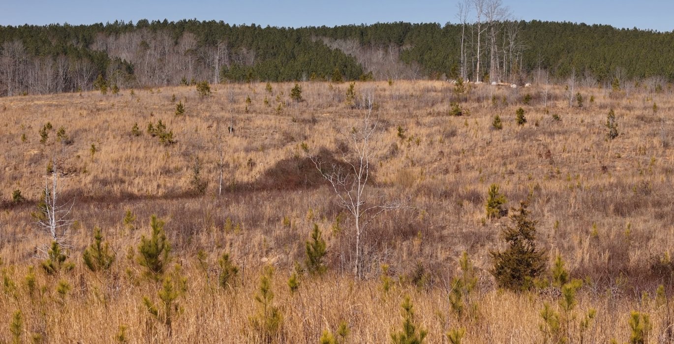 East Fork Pinkston Photo 17