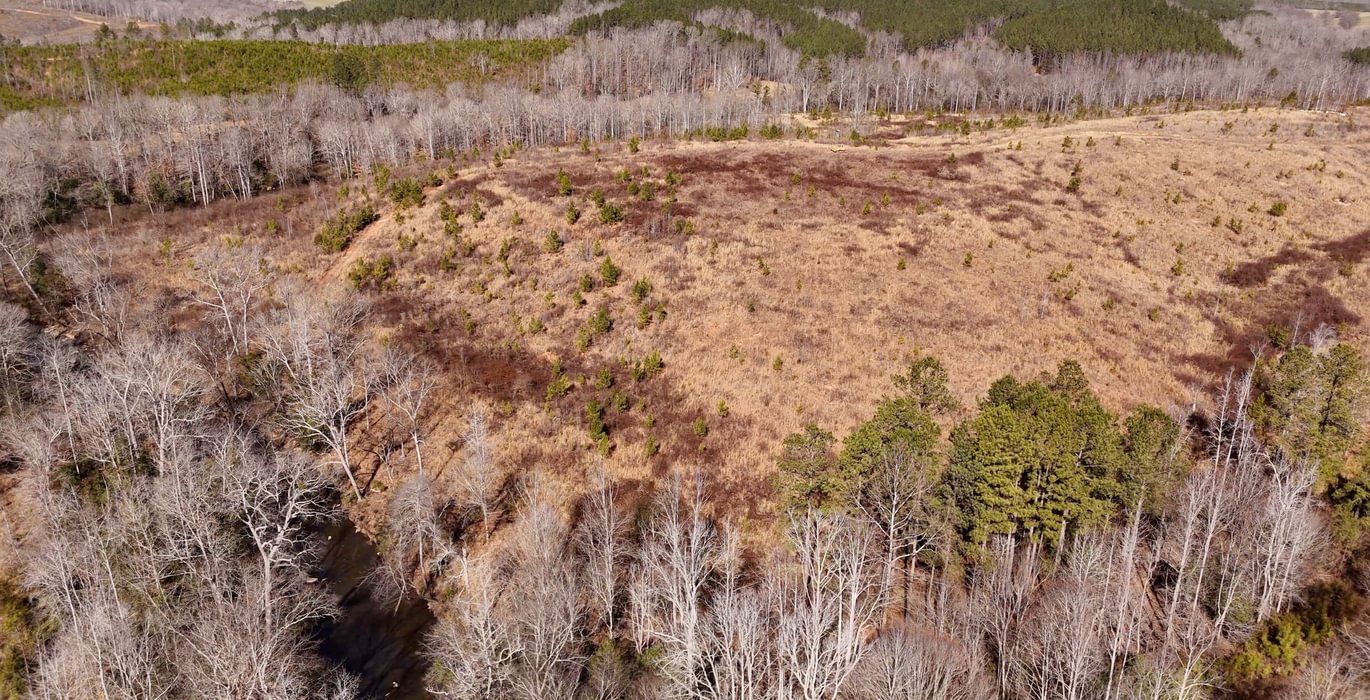 East Fork Pinkston Photo 18